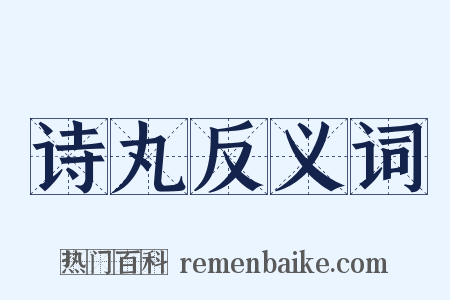 诗丸反义词是什么意思的图片